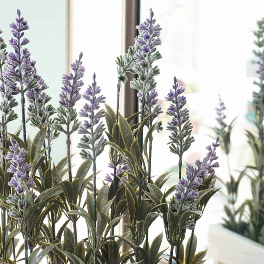 Lavender Makes a Perfect Decor Piece for Spring Decorations