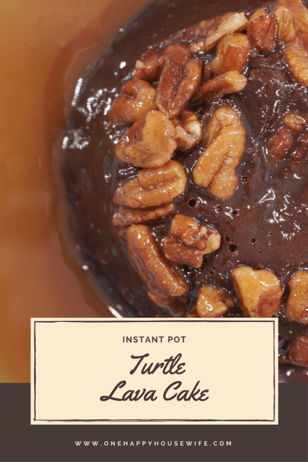 Instant Pot Turtle Lava Cake One Happy Housewife
