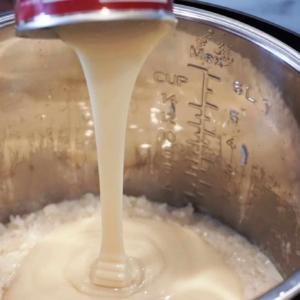 adding condensed milk to the instant pot