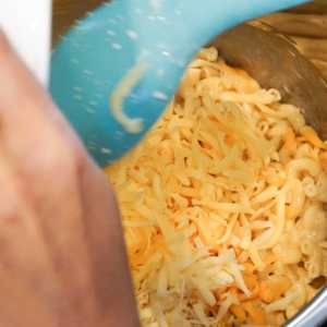 An easy macaroni and cheese recipe for the Instant Pot.