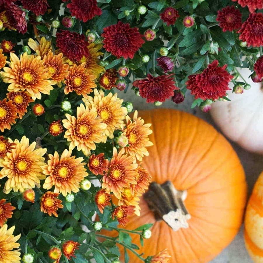 Outdoor fall decorating ideas.