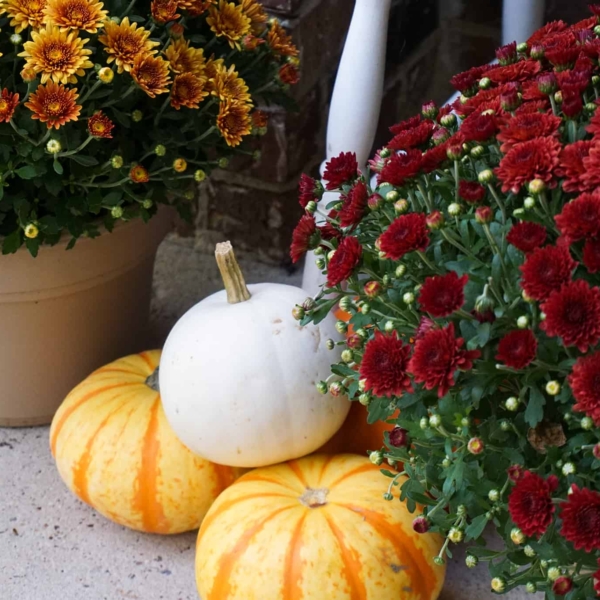 a porch with flowers and fake pumpkins stacked on each other