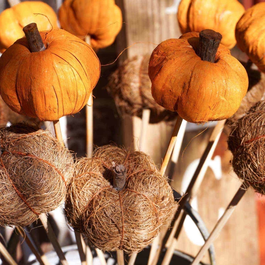 Simple fall porch decor inspiration.