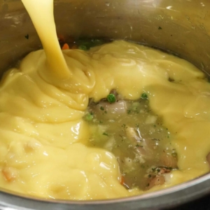 chicken n dumplings recipe pressure cooker