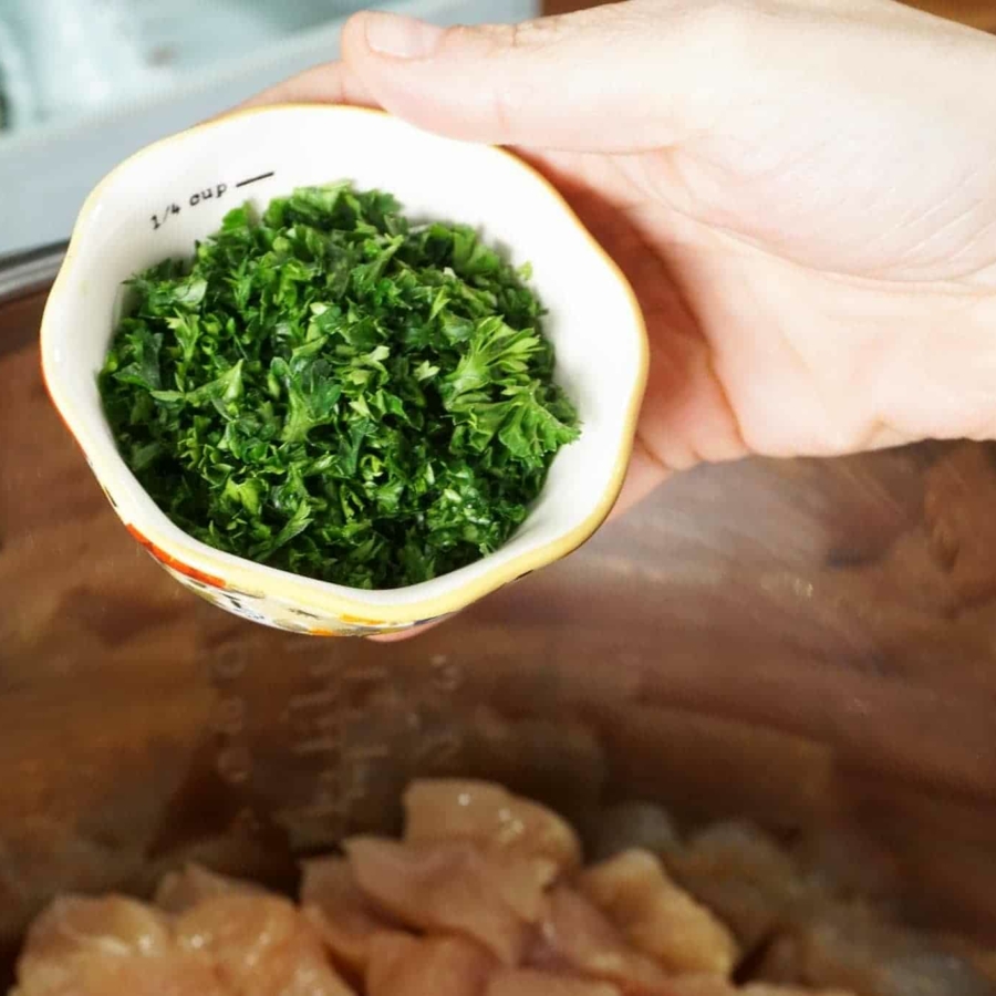 Instant Pot Chicken and Dumplings - One Happy Housewife