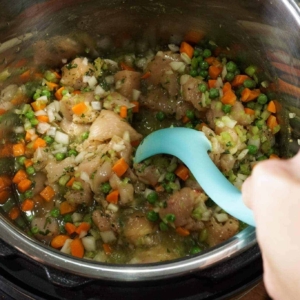 quick instant pot chicken and dumplings