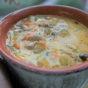 holding a bowl of lemon chicken orzo