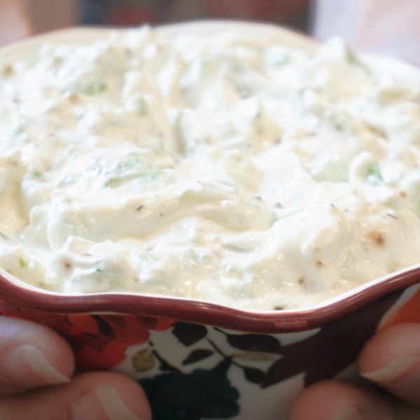 celery and onion dip