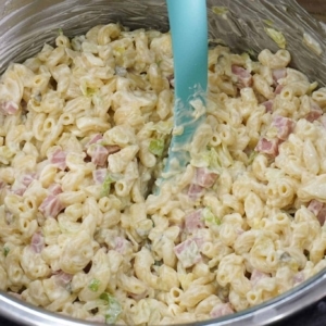 the best macaroni salad recipe made in the instant pot