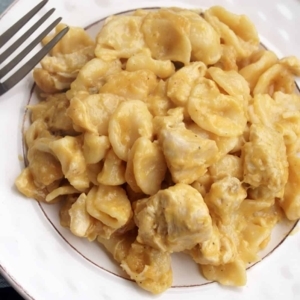 a small serving of cheesy chicken pasta on a plate