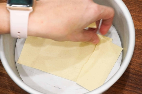 instant pot lasagna push pan