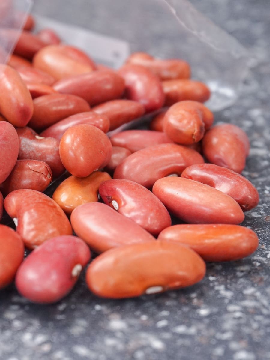 open bag of red kidney beans spilling out onto the counter