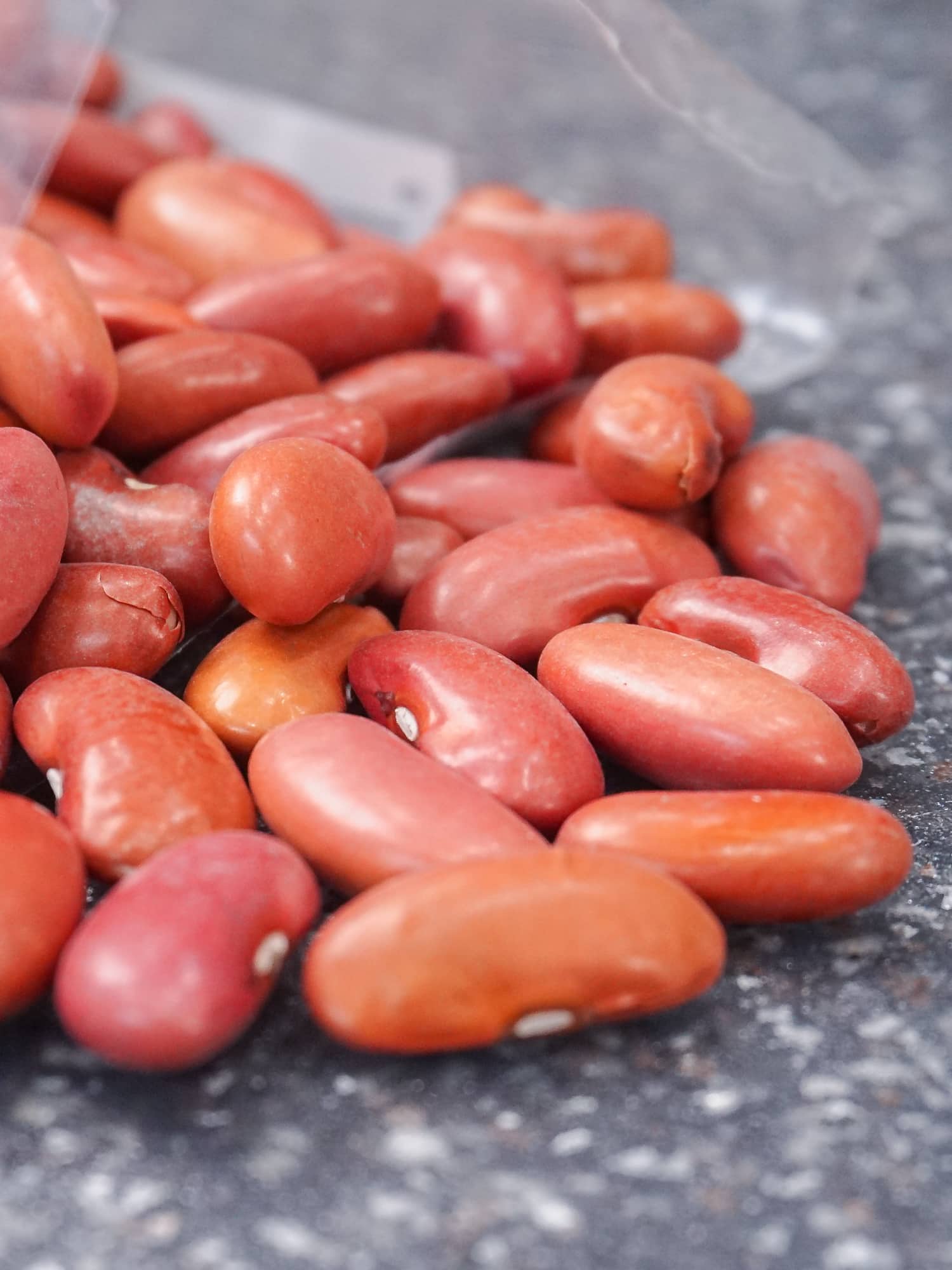 Power Soaking Beans in the Instant Pot - One Happy Housewife