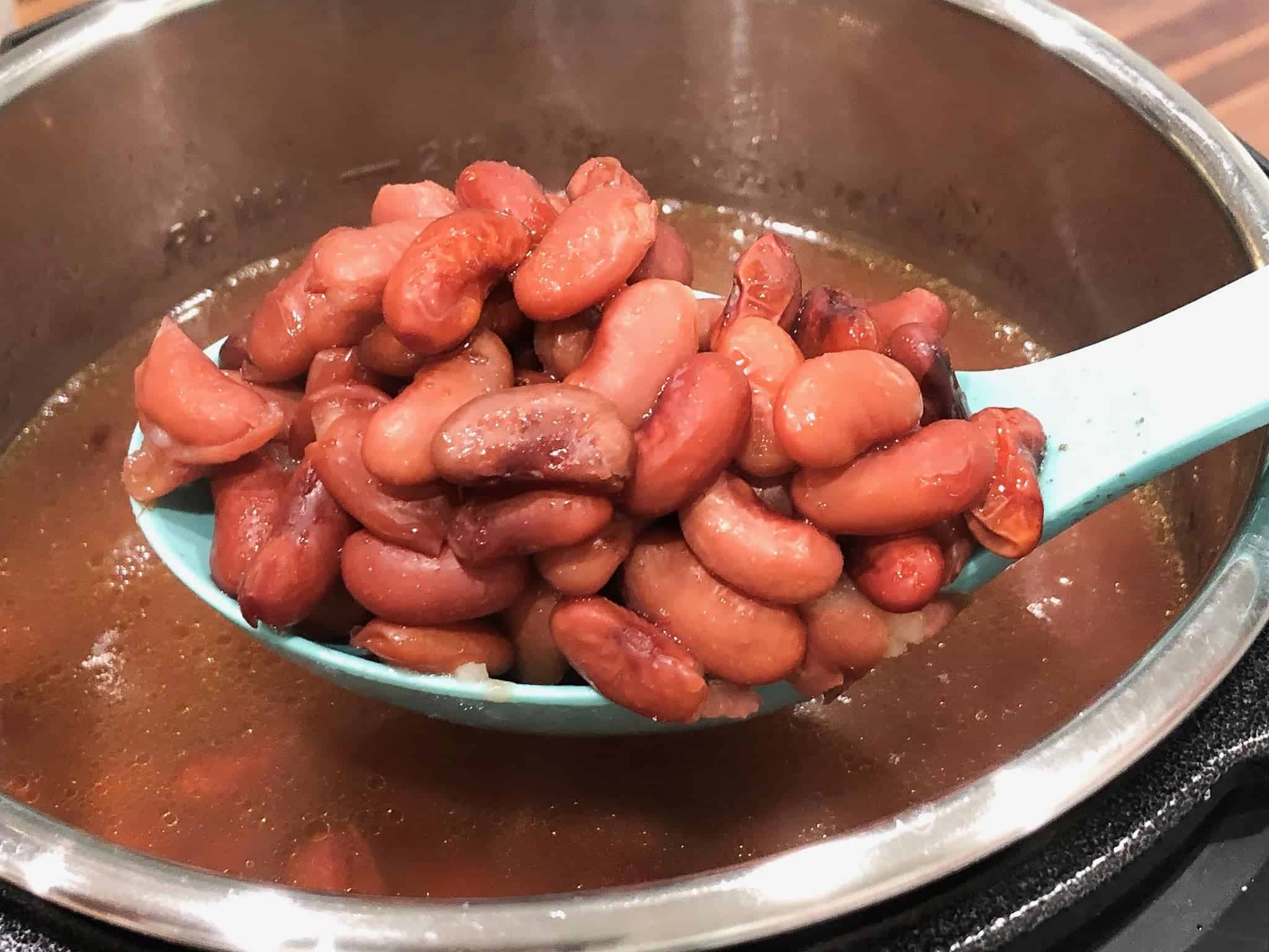 Power Soaking Beans in the Instant Pot One Happy Housewife