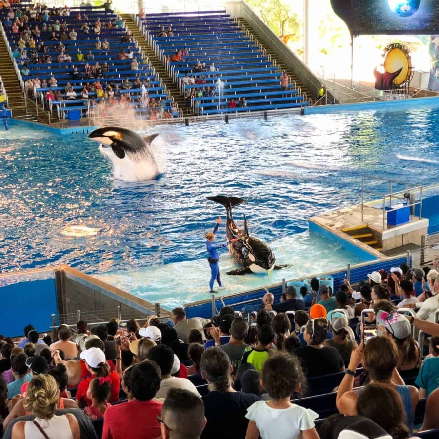 San Antonio vacation Sea World.
