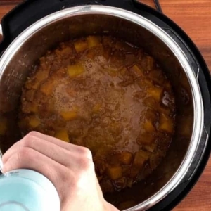 pureeing ingredients in the instant pot