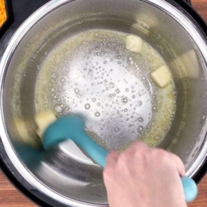 melting butternut squash in the instant pot