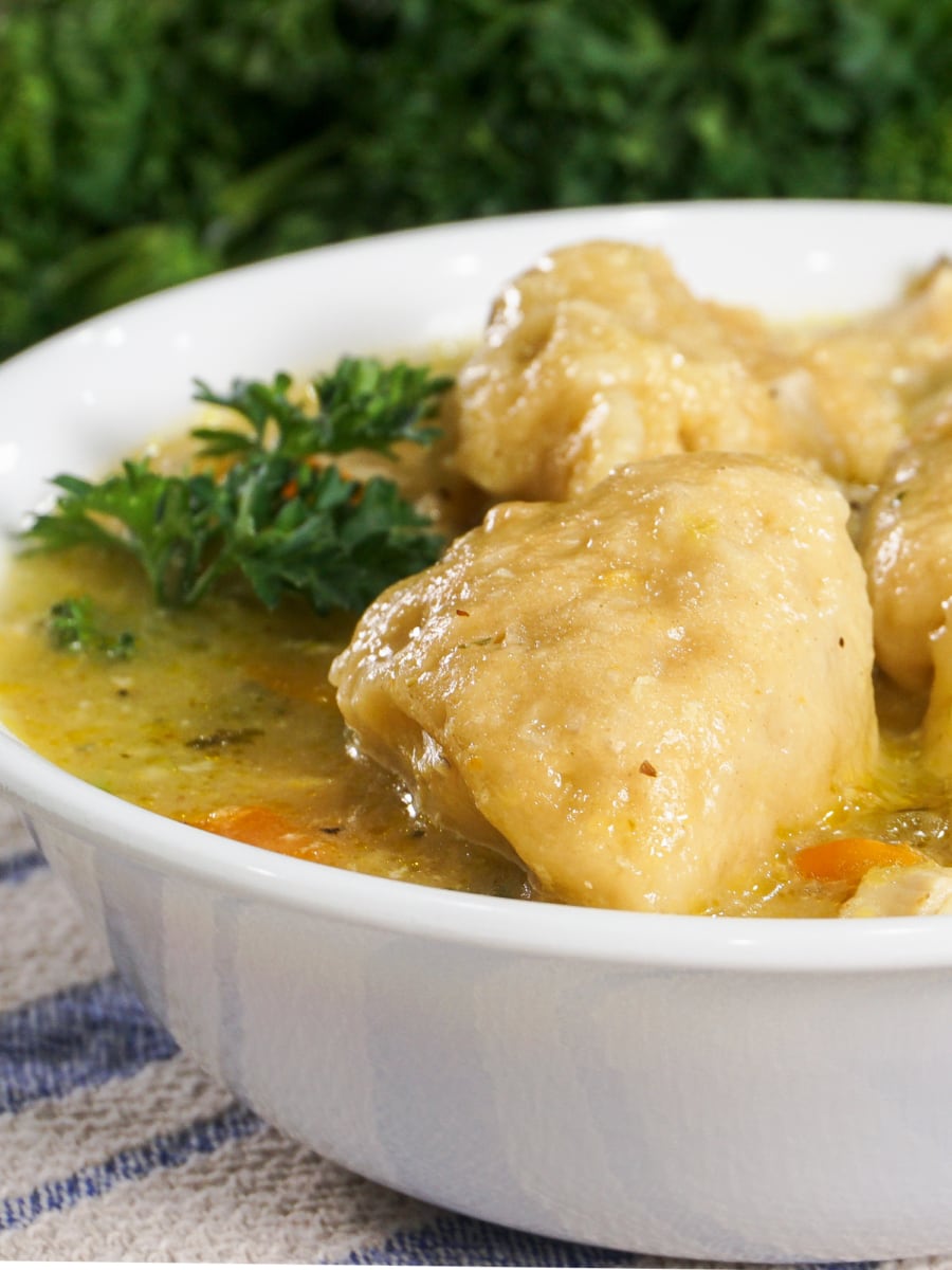 a bowl of chicken and dumplings