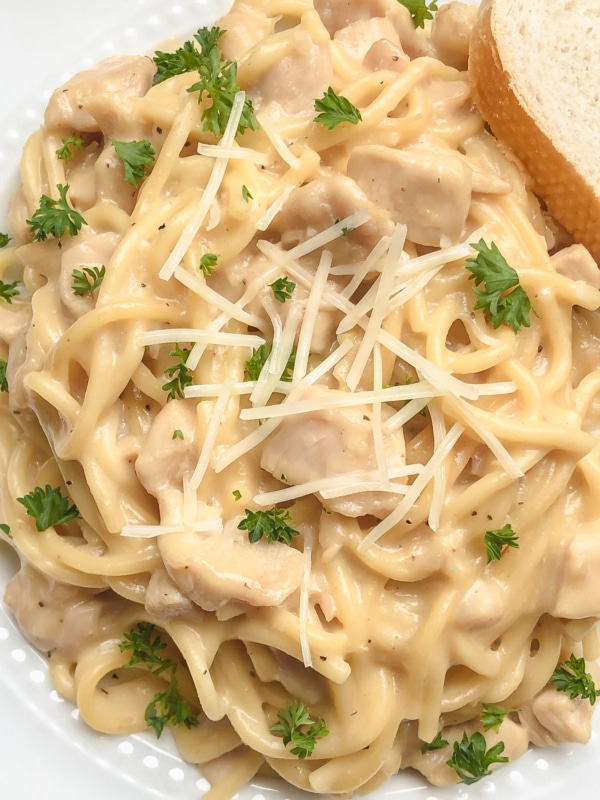 chicken tetrazzini recipe