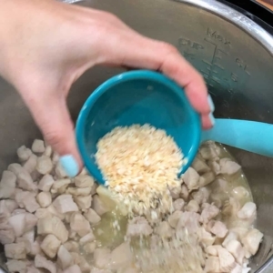 seasoning cubed chicken with dry minced onion