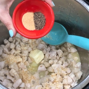 seasoning cubed chicken breasts with garlic powder and black pepper