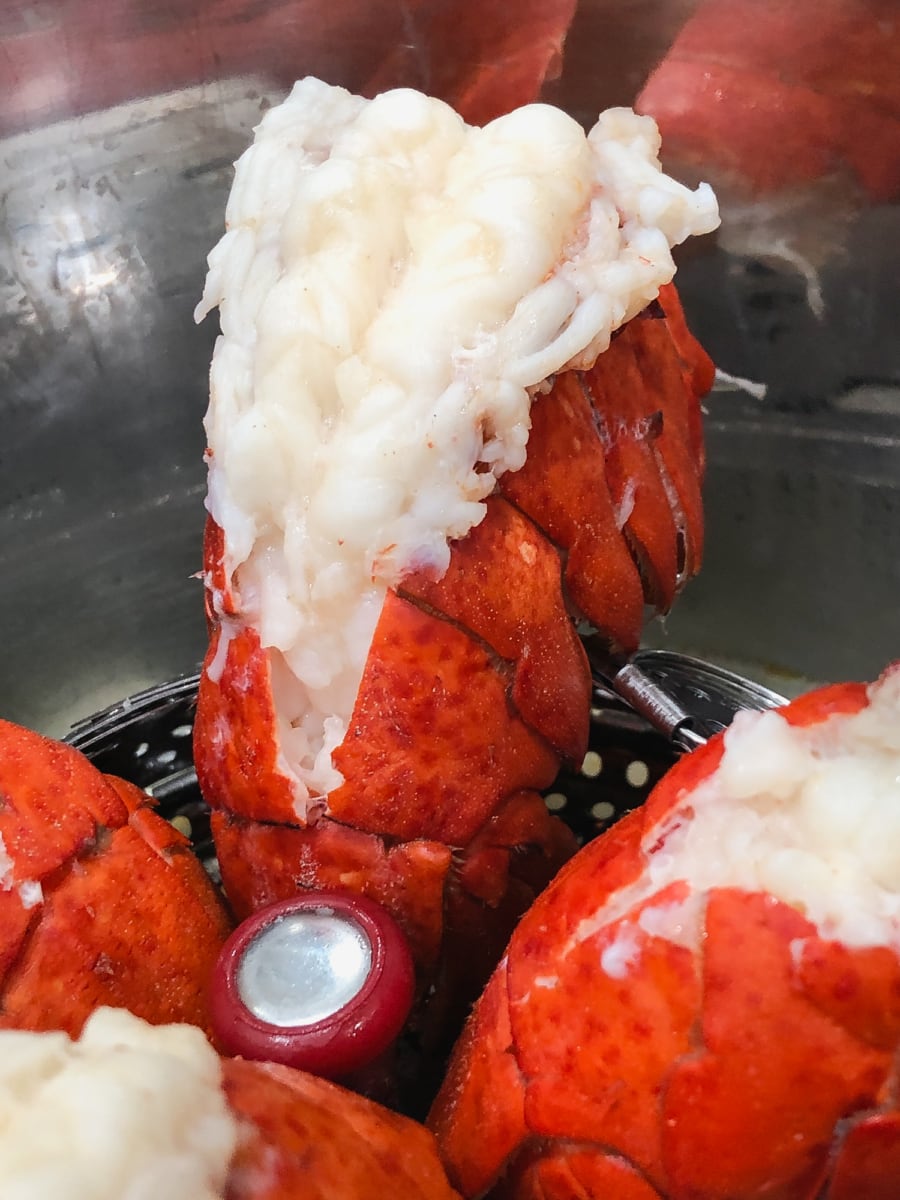 cooked lobster tails in the instant pot