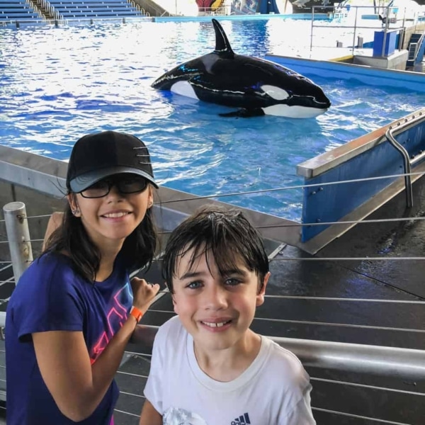 kids posing near a killer whale at sea world san antonio