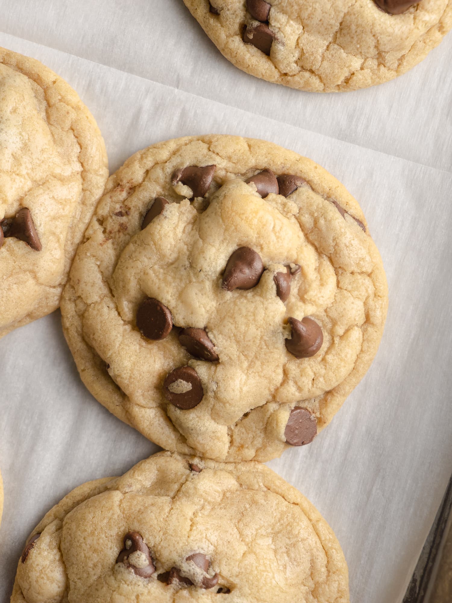 Soft and Chewy Chocolate Chip Cookies - One Happy Housewife