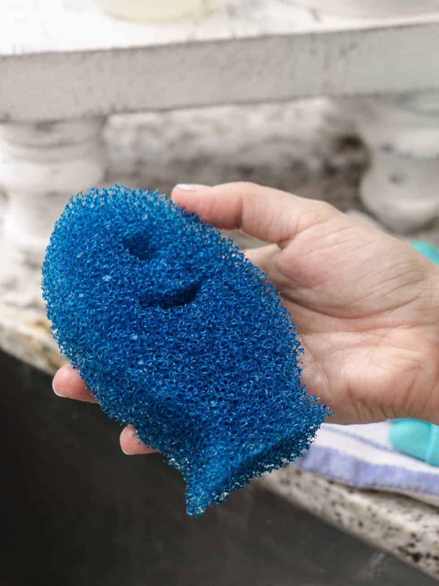 DishFish dish washing sponge