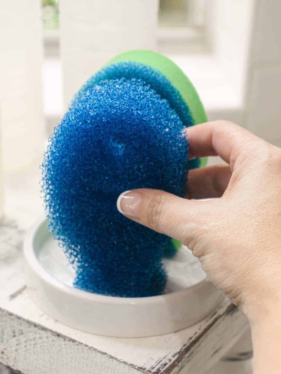 sponges for washing dishes