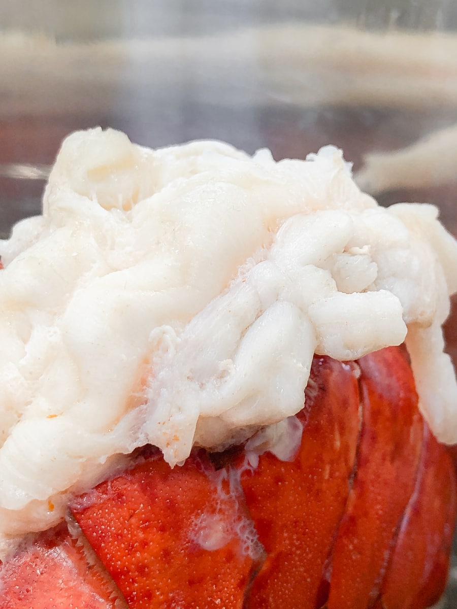 close up of a lobster tail