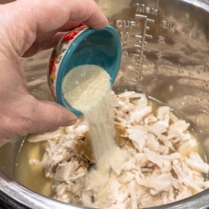 adding garlic powder to shredded chicken and chicken stock in the instant pot