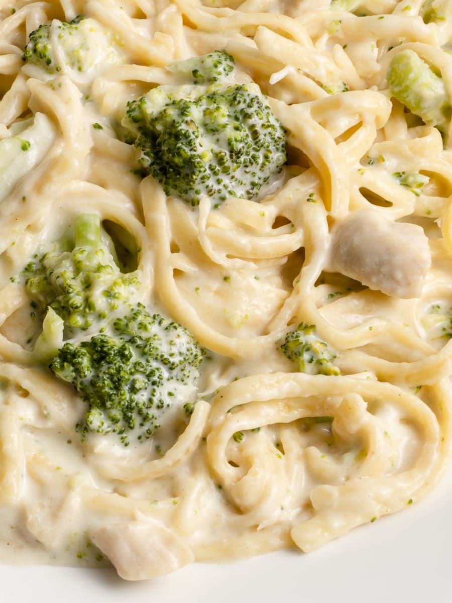 creamy plate of homemade chicken broccoli alfredo