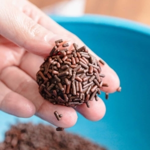 holding a ball of fudgy chocolate covered in chocolate sprinkles