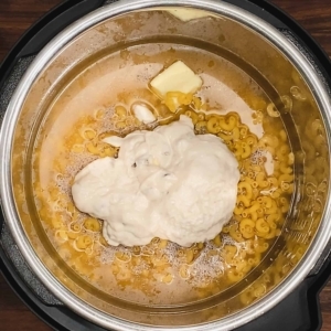 chicken stock, elbow pasta, butter, and cream of chicken soup in the instant pot