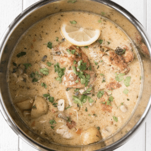 chicken fricassee