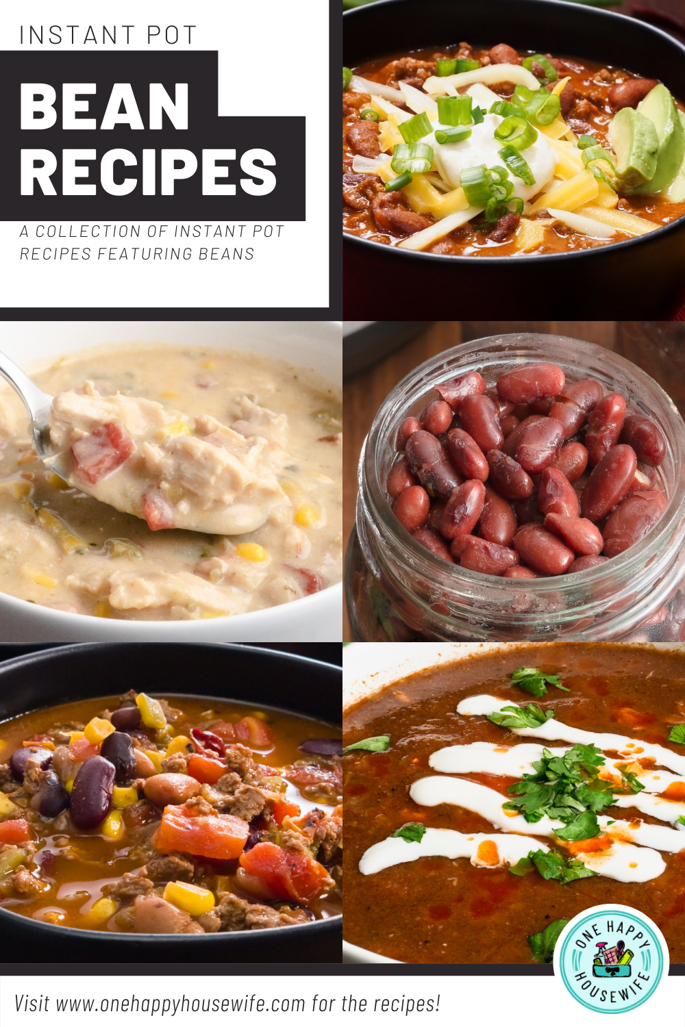 instant pot bean recipes