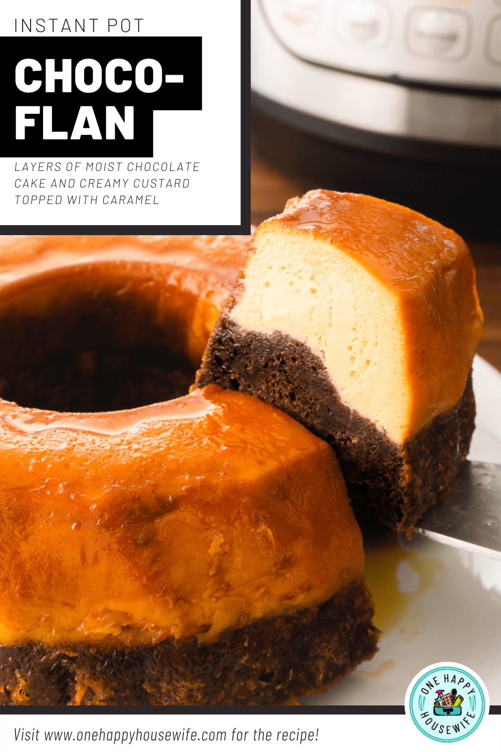 instant pot chocoflan