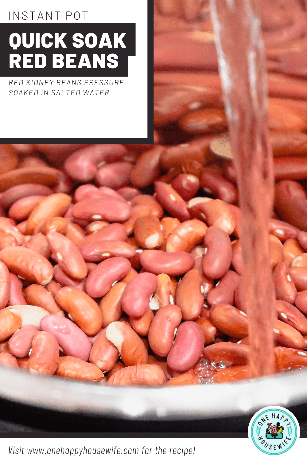 instant pot quick soak red beans