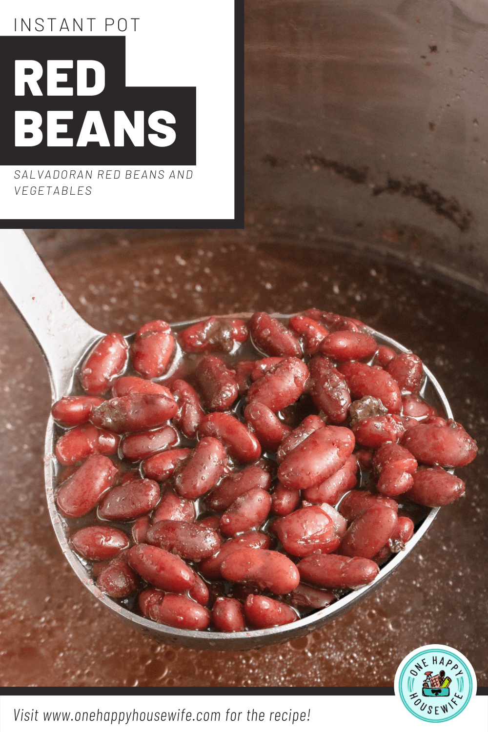 instant pot red beans