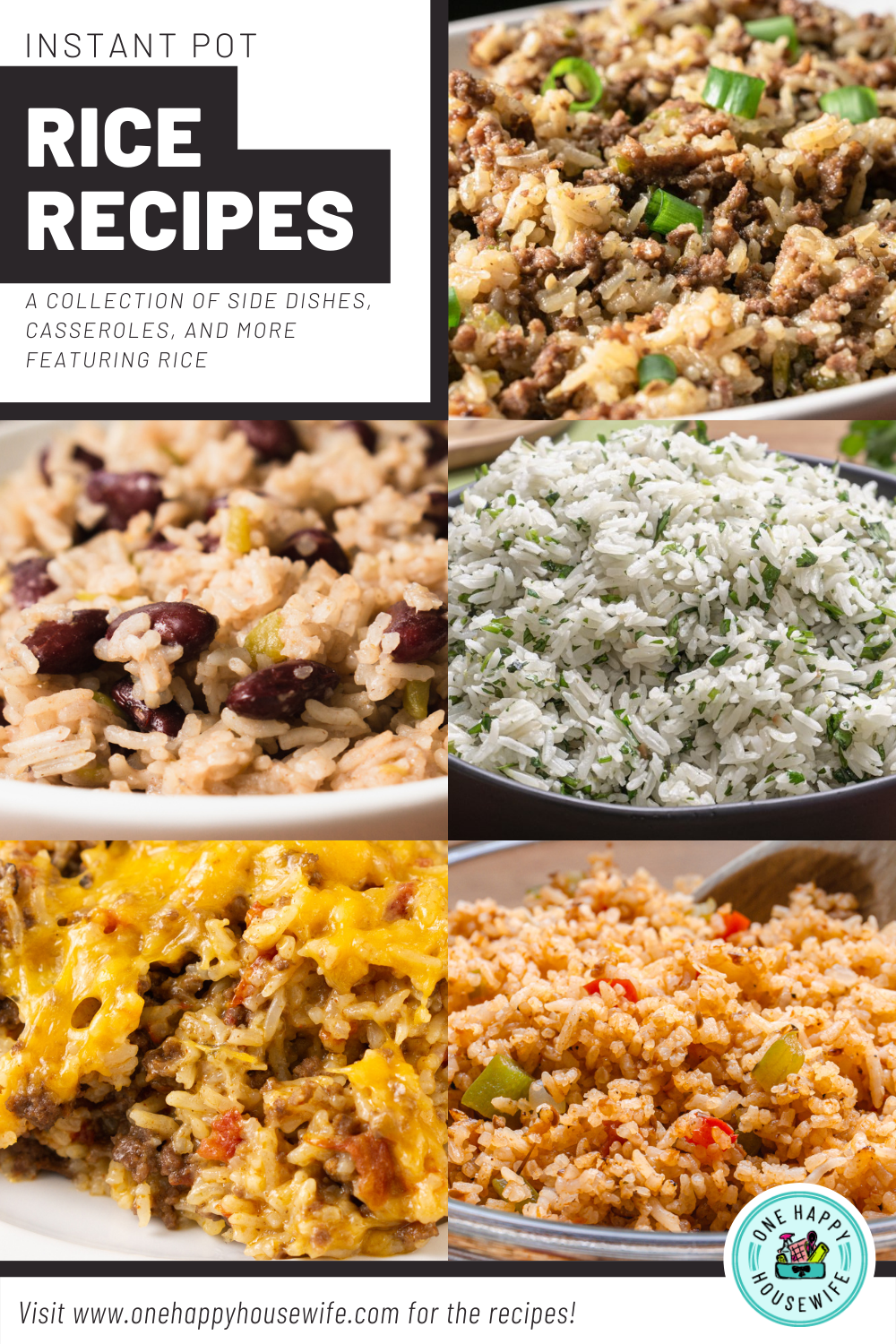 instant pot rice recipes
