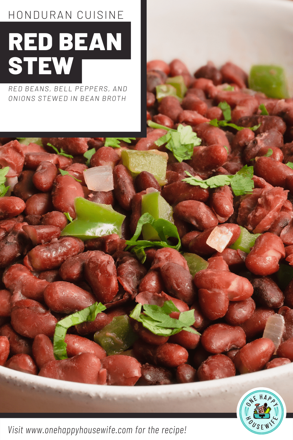 red bean stew authentic honduran recipe