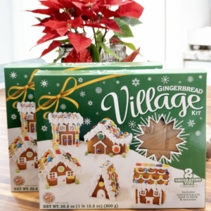 a gingerbread village kit