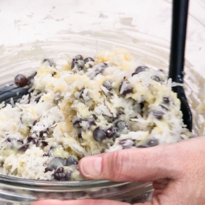 mixing the ingredients for chocolate chip coconut macaroons