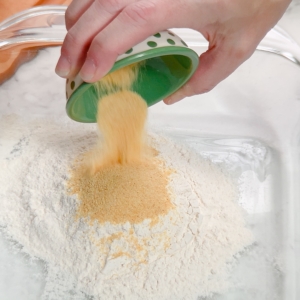 adding garlic powder to make a breading for gluten free chicken tenders