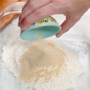 adding garlic powder to a gluten-free breading