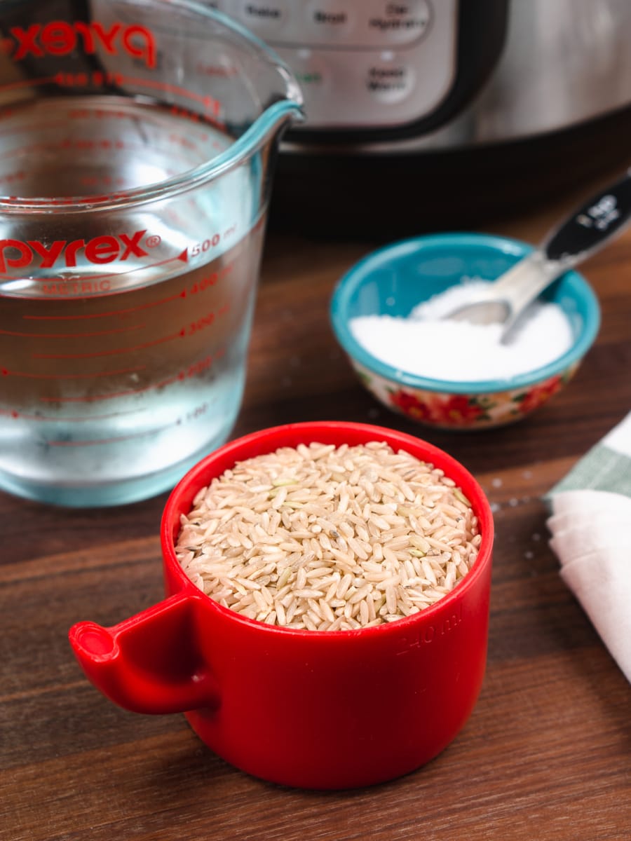 ingredients for instant pot brown rice including a cup of long grain brown rice, a cup of water, and a teaspoon of salt