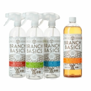 branch basics cleaning essentials kit