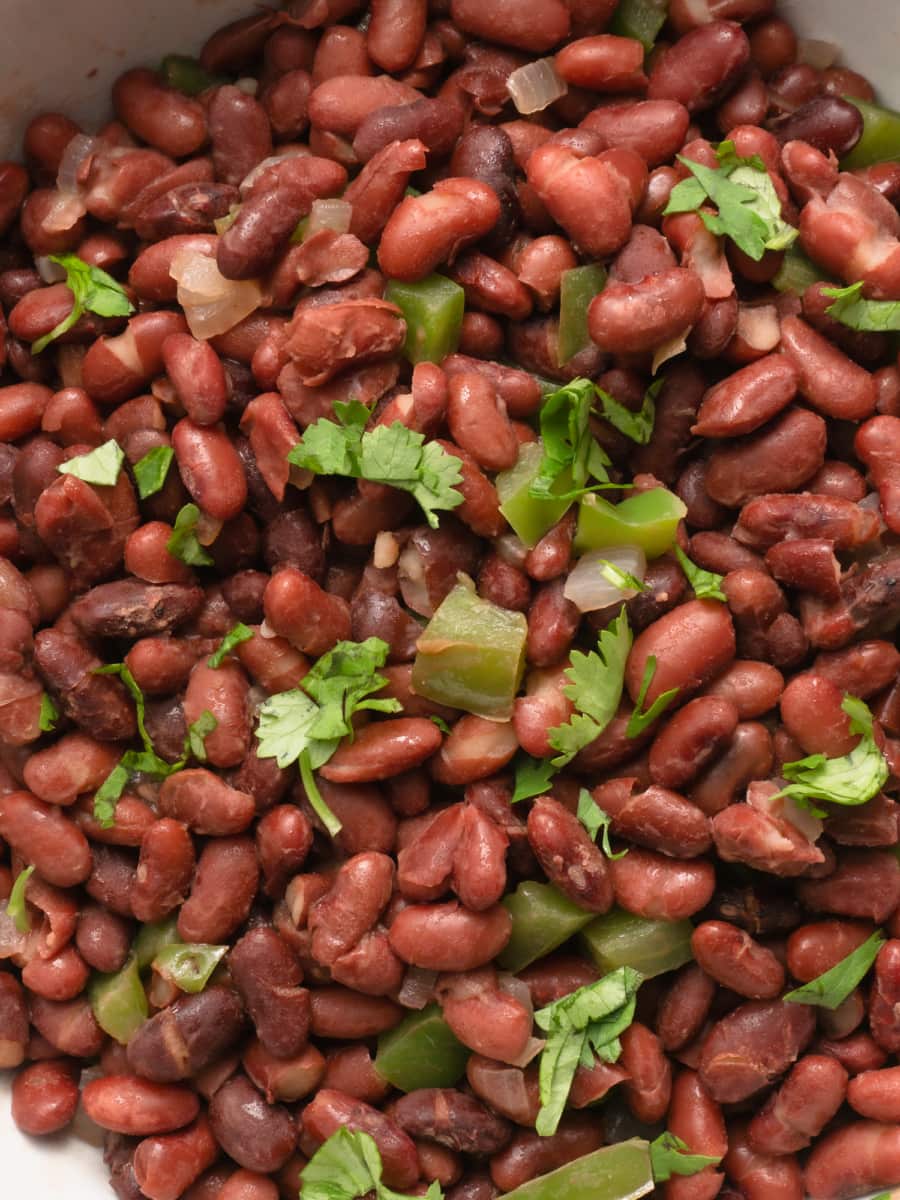 close up shot of red bean stew garnished with cilantro